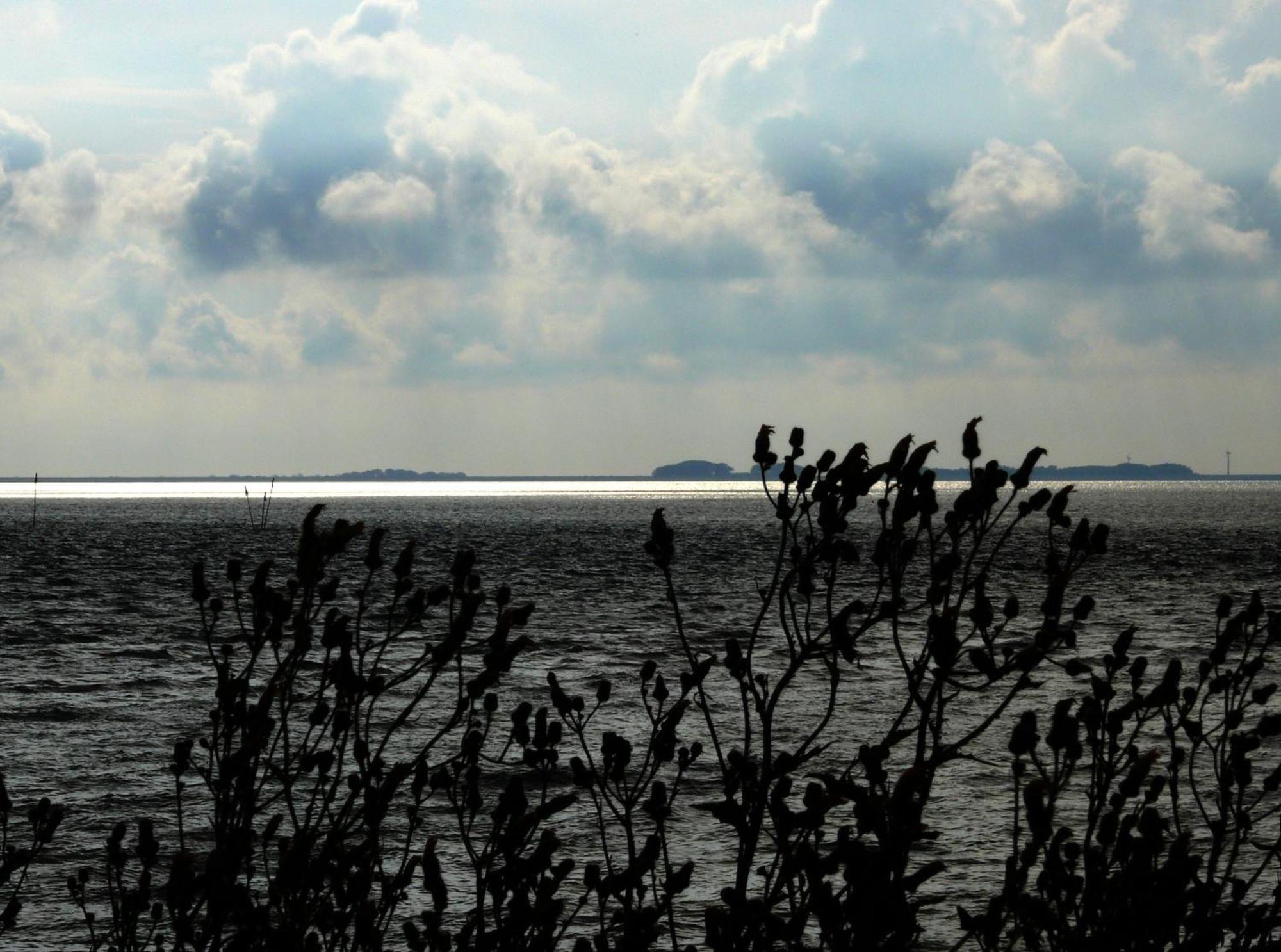 Haus Halligblick, Ferienwohnungen Am Wattenmeer, Whg Langenness Dagebuell Exterior photo